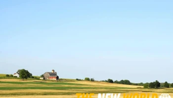 Bdo Canada Llp - Chatham
