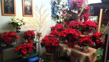 Biggar Flower & Gift Shop - Biggar