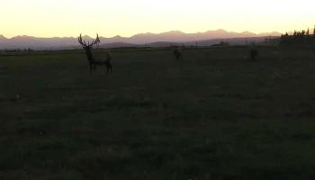 Black Diamond Elk Ranch - South