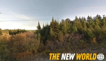 Bmn Automotive - Bonavista