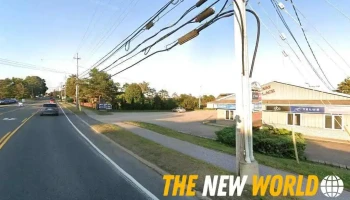 bNetworked - Digby
