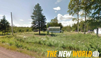 C.o.e Services - Botwood