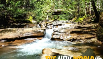 Cumberland Community Forest - Bc V0r 1s0