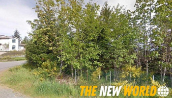 David Norris Agency - Chemainus