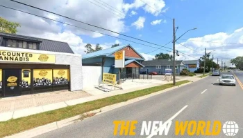 Digital Pc Services - 229 St Clair St