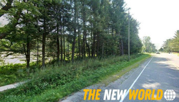 Entrepreneurs' Coach - Bracebridge