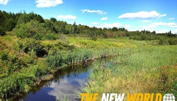 Environmental Ecosystems Inc - Greater Sudbury