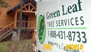Green Leaf Tree Services Ltd - Golden