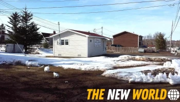 Judy's Hair Fashions - Botwood