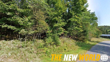 kwmconsulting - Haliburton