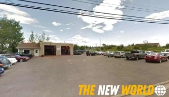M & G Automotive - Botwood