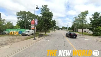 Minding Your Business - Gravenhurst