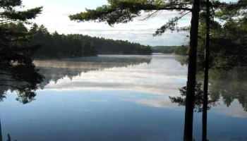 Muskoka Graphics - Gravenhurst