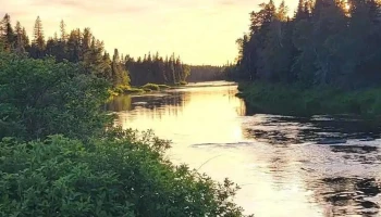 New Brunswick Svc - Florenceville-Bristol