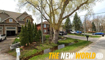 Notary Pro - Innisfil Beach