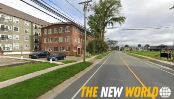 Roy Consultants - Fredericton