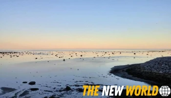 Simwebs Inc - Baie-Comeau