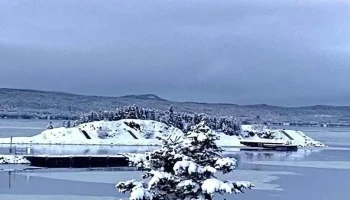 Spa by the Bay - Botwood