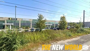 Telocron It Services - Milton