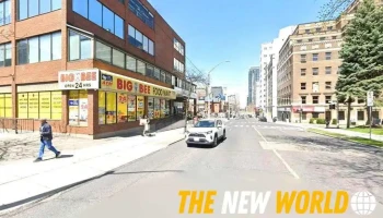 Toa Consulting - Hamilton
