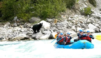Wet N' Wild Rafting Adventures - Golden