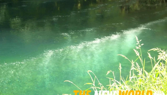 Aquatech Environmental Systems Ltd - Canada