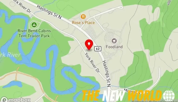 map of Assante Financial Management Ltd. Financial planner in Bancroft