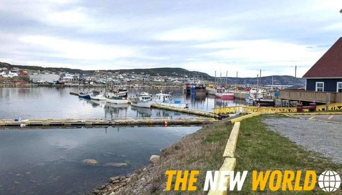 Baycation Nl -  All - Bonavista