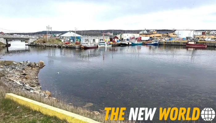 Baycation Nl -  From Visitors - Bonavista