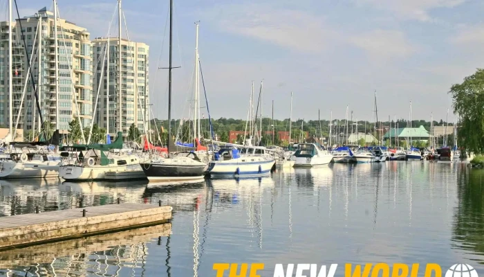 Bdo Canada Llp -    Barrie All - Barrie