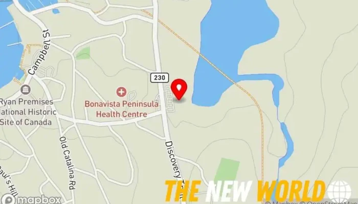 map of BDO Debt Solutions Insolvency service, Credit counseling service in Bonavista