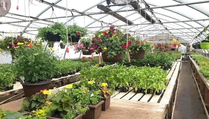 Beautiful Flowers Nursery & Garden Centre - Bishop'S Falls