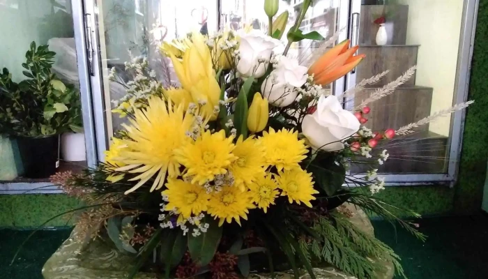 Biggar Flower Gift Shop By Owner - Biggar