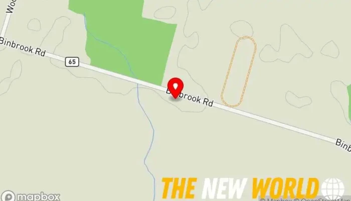 map of Binbrook Computer Services Inc. Computer repair service in Binbrook