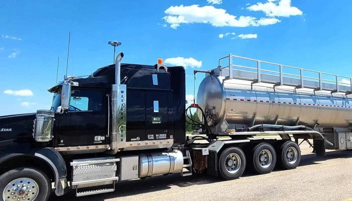 Bizi Transport Inc - Blackfalds