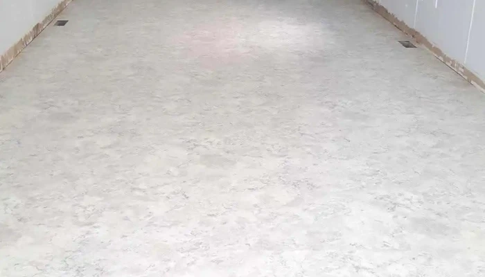 Bizi Transport Inc -  Inside - Blackfalds