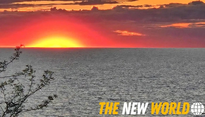 Bluewater Sunset Cottage -  Latest - Dashwood