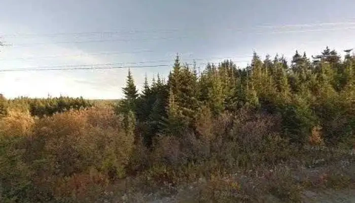 Bmn Automotive -  All - Bonavista