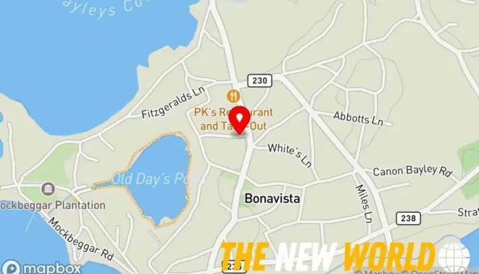map of Bonavista Adventure Tours Tour operator in Bonavista