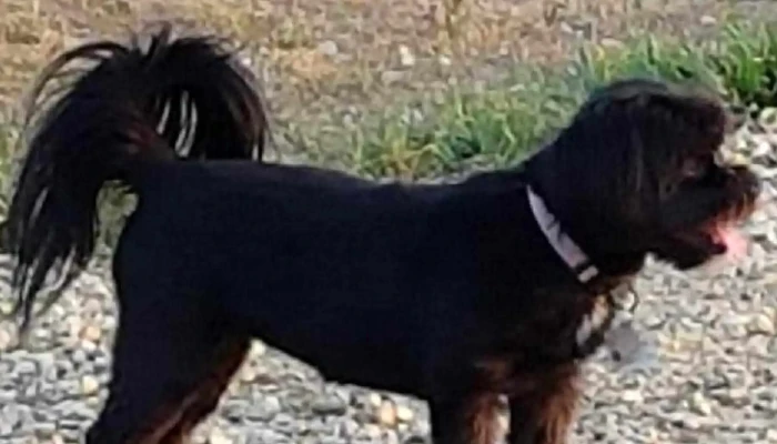 Boomers Groomers -  Photos - Blackfalds