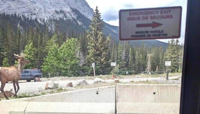 Bow Valley Regional Transit Services Commission -    Roam Transit Website - Banff