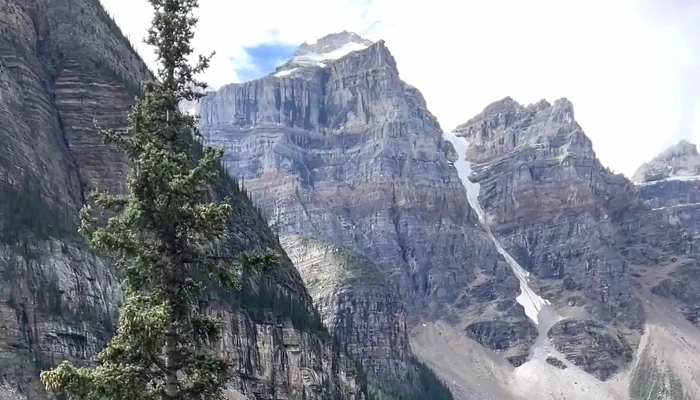 Brewster Sightseeing -  Address - Banff