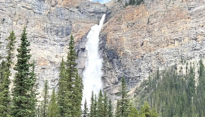 Brewster Sightseeing -  Photos - Banff