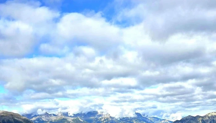Brewster Sightseeing -  Sightseeing Tour Agency - Banff