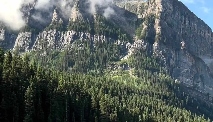 Brewster Sightseeing -  Videos - Banff