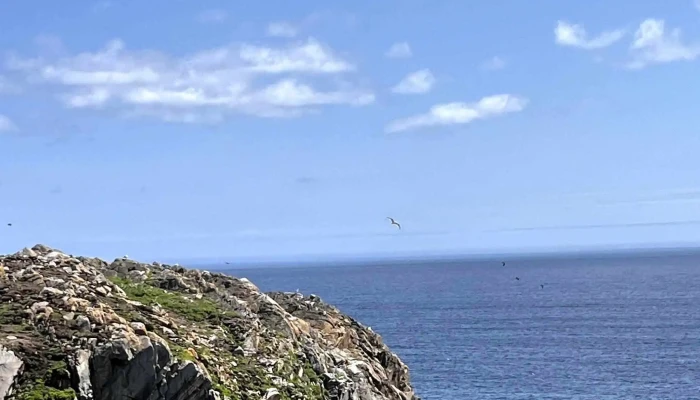 Cape Bonavista - Canada
