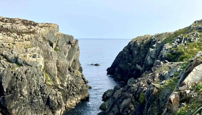 Cape Bonavista -  Number - Canada