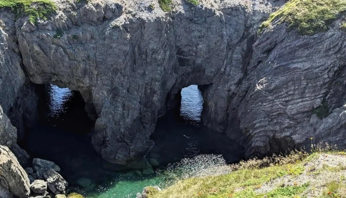 Cape Bonavista -  Where - Canada