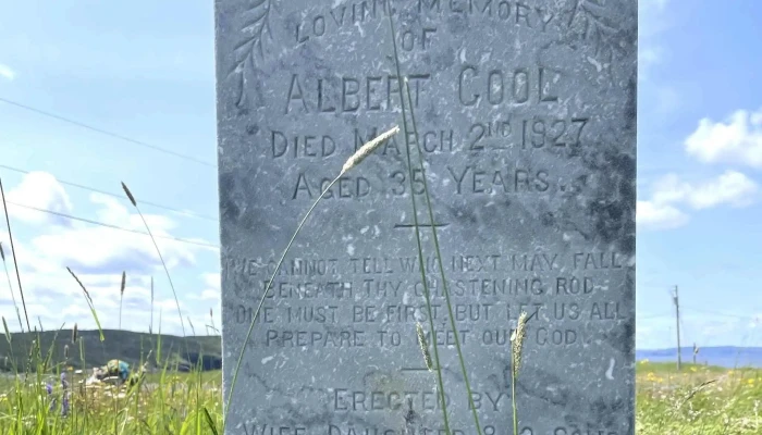 Cemetery -  Address - Newmans Cove