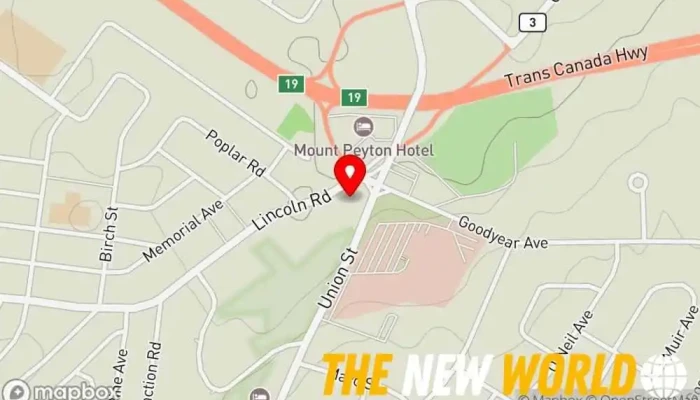 map of Central Health Consultants Health consultant in Grand Falls-Windsor